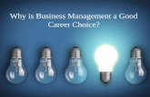 Why is Business Management a Good Career Choice