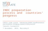 INDC preparation process and countries' progress