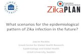 Joacim Rocklöv: What scenarios for the epidemiological pattern of Zika infection in the future?