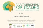 Partnerships for Scaling Climate Smart Agriculture in Africa and Asia