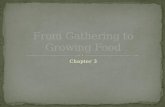 From gathering to growing food