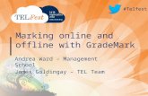Marking Online and Offline with Grademark