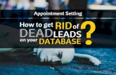 What to do with Dead leads on your Database?