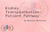 The Kidney Transplantation Patient Pathway at the QEHB