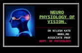 NEUROPHYSIOLOGY OF VISION