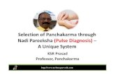 Pulse to panchakarma