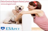 Online emotional support animal letters