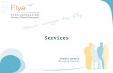 Flya Consulting services presentation