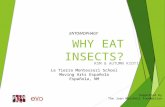 Entomophagy: why eat insects?