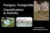 Technical training Fungus and Fungicides PPT-Lankem