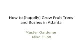 Grow Fruit trees and bushes