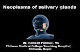 Benign and malignat tumors of salivary gland