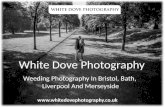 Best Weeding Photography & Portrait Photographers In Somerest, Watford