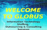 Capability Statement Globus Solutions