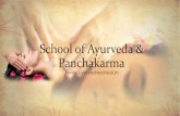 School of ayurveda & panchakarma  | Ayurveda Training Centre