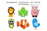 Developmental, Inteellectual and Learning Disabilities