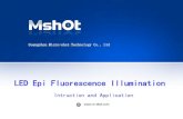 Mshot fluorescence attachment intruction and application