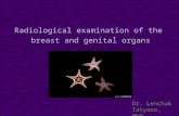 Radiology   Breast & Gential organs