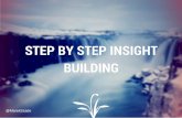 Step by step insight building