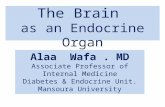 Brain as an endocrine organ