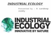 Environment industrial ecology