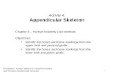 Activity 4 - Appendicular Skeleton