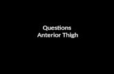 Exam Questions Anterior Thigh