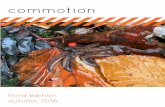 Commotion - Autumn 2016