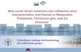 How yeast strain selection can influence wine characteristics and ...