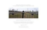Montreal's Irish Famine Cemetery - Commemoration Struggles from ...