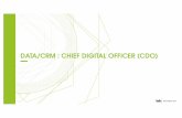 Etude IAB France : Métiers & Compétences du Marketing & de la Communication dans un contexte de transition digitale : le Chief Digital Officer