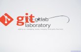 Gitlab workflow