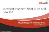 Microsoft Planner What is How To - Collab365