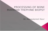 processing of bone marrow trephine biopsy