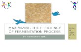 Maximizing the efficiency of fermentation process
