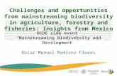 Presentation by Mexico - Challenges and opportunities in mainstreaming biodiversity in Mexico