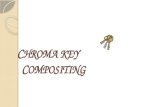 Chroma key compositing