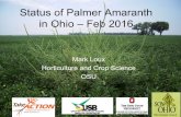 Status of Palmer Amaranth in Ohio – Feb 2016