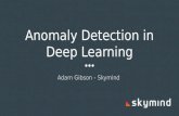 Anomaly detection in deep learning (Updated) English