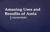 Amazing Uses and Benefits of Amla by Amrish Malhi