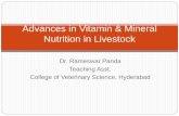 Advances in vitamin  mineral nutrition in livestock