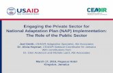 Engaging the Private Sector for National Adaptation Plan (NAP) Implementation: The Role of the Public Sector