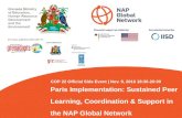 Sustained peer learning, coordination, and technical assistance in the NAP Global Network