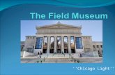 The field museum