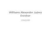 Williams alexander juarez escobar