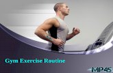 Gym Exercise Routine