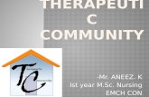 Therapeutic community