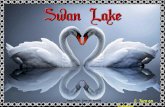 Swan Lake - animated widescreen