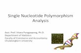 Single Nucleotide Polymorphism Analysis (SNPs)