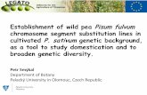 2015. Petr Smykal.  Study domestication and to broaden genetic diversity of wild pea Pisum fulvum